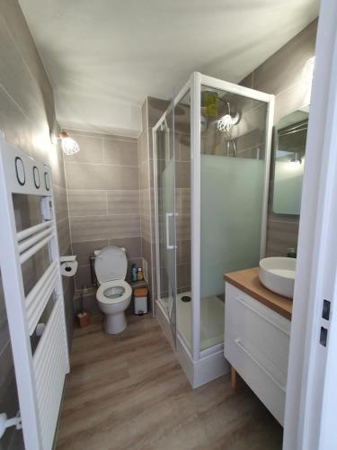 La salle de bains est pourvue de toilettes et d'un lavabo. dans l'établissement Le Cardiff, à Le Touquet-Paris-Plage