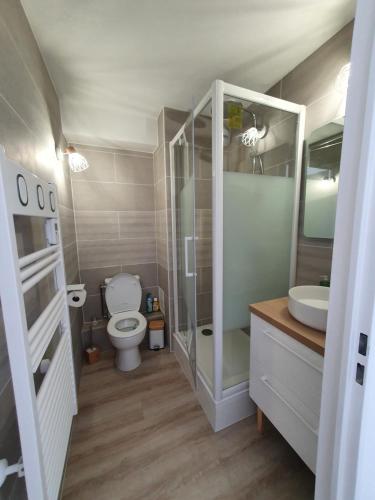une salle de bain avec toilettes et lavabo dans l'établissement Le Cardiff, à Le Touquet-Paris-Plage
