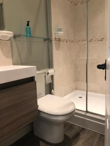 a bathroom with a toilet and a shower at Round-y-Corner in Macclesfield