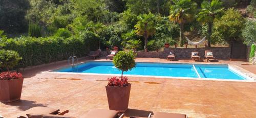 a swimming pool in a yard with chairs at Masia Sagués in Poblet