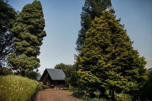 Gallery image of Viewpoint - Cabin 1 in Haenertsburg