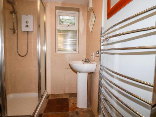ボドミンにあるThe Studioのトイレの隣にシャワーと洗面台付きのバスルームがあります。