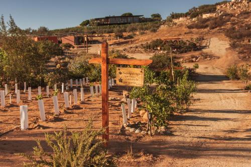 a wooden cross in the middle of a dirt road at Brisa Del Valle Hotel Boutique in Valle de Guadalupe