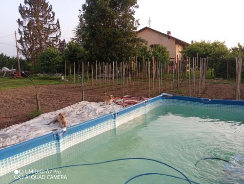 La Casa di Viola – Photos 3