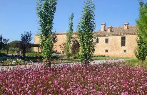a garden with pink flowers in front of a building at Casa Anamaria Hotel in Ollers