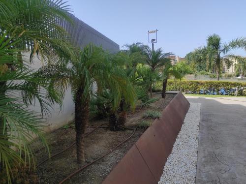 a row of palm trees in front of a building at Paradise Village Port Aventuras in Salou