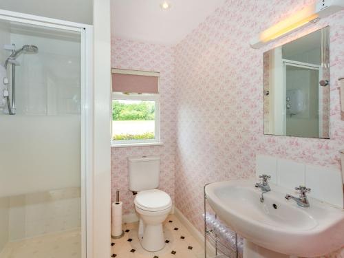 a bathroom with a toilet and a sink and a mirror at Sunbeck Gatehouse in Thormanby