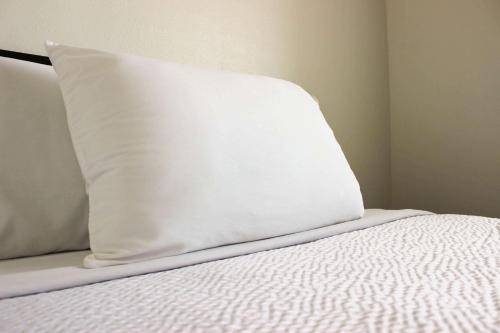 Katil atau katil-katil dalam bilik di Motel 6 Rexburg, ID