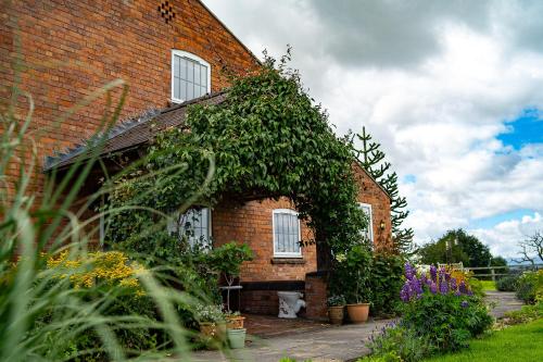 a brick house with ivy growing on the side of it at Higher Farm in Malpas