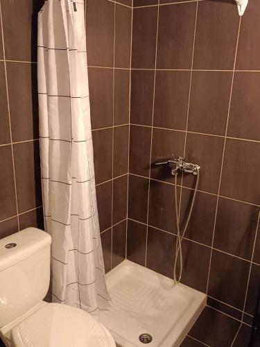 a bathroom with a shower curtain and a toilet at ALEXANDER APARTMENT'S in Kallithea Halkidikis