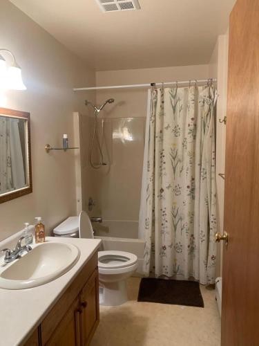 a bathroom with a sink and a toilet and a shower at Metchosin Beach House in Victoria