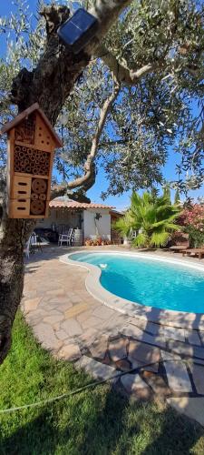 une maison ornithologique suspendue à un arbre à côté d'une piscine dans l'établissement Cocon Provençal - T1 25m2 - SdB - Terrasse privée & Accès Piscine à Saint Chamas, à Saint-Chamas