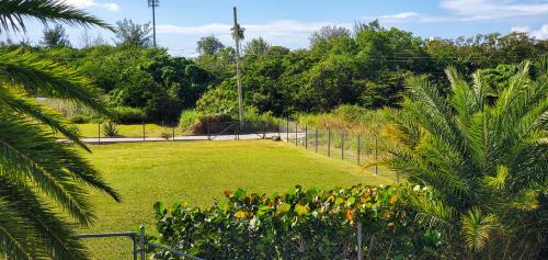 a garden with a field of grass and palm trees at Villa Lazy Daze in Jolly Harbour