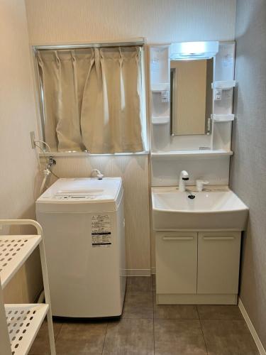 uma pequena casa de banho com um lavatório e um espelho em Kotori Cottage em Hakuba
