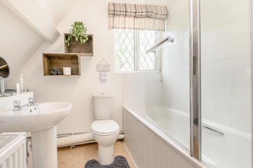 a white bathroom with a toilet and a sink at Fern Hall Cottage in Upper Welson