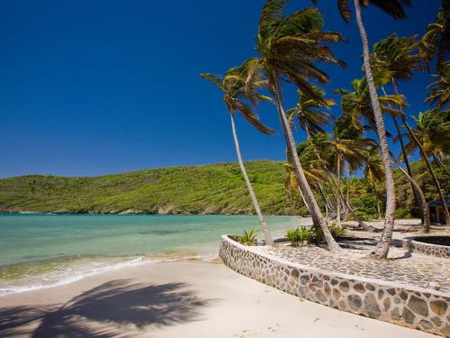 a beach with palm trees and the ocean at Firefly Estate Bequia in Crescent Beach