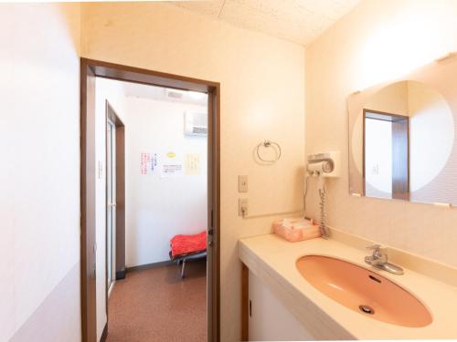 a bathroom with a sink and a mirror at Ryosou Minatosou Joetsu in Naoetsu