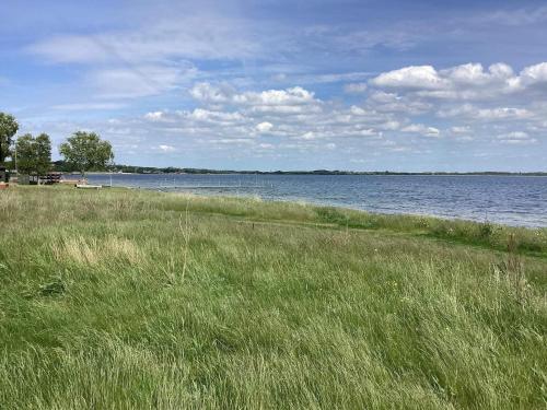 a field of grass next to a body of water at 10 person holiday home in Roslev-By Traum in Roslev
