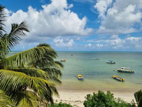 einen Strand mit Booten im Wasser und einer Palme in der Unterkunft Diamond Plaza in Grand Anse