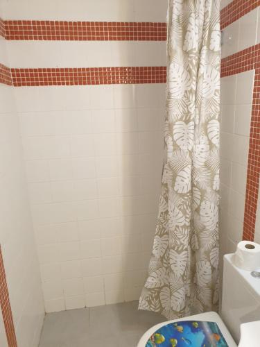 y baño con aseo y cortina de ducha. en Varkiza Cozy Seaside Apartment, en Vari