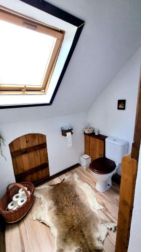 a bathroom with a toilet and a rug on the floor at Přemyslovský dvůr in Slezské Pavlovice