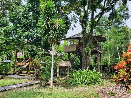 a tree house in the middle of a forest at Malulee KhaoSok Resort in Khao Sok