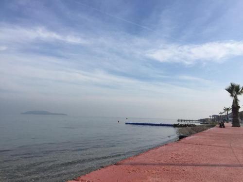 a beach with a palm tree and the water at Hotel Barba in Urla