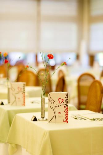 a table with a vase with a flower on it at Hotel Terme Antoniano in Montegrotto Terme