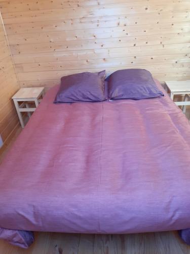 Tempat tidur dalam kamar di Petite maison bien vivre au coeur de la montagne