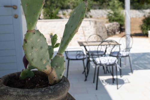 a green cactus in a pot with a table and chairs at Relais I Secolari in Selva di Fasano