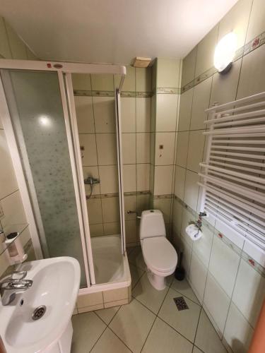 a bathroom with a toilet and a shower and a sink at Villa REJS Jastarnia in Jastarnia