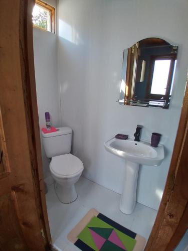 a bathroom with a toilet and a sink at Апарт-отель "У речки" in Kuchkisabano