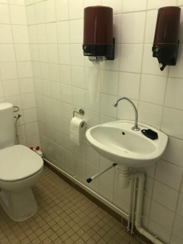 een badkamer met een toilet en een wastafel bij Le Refuge d'Helix in Viviez