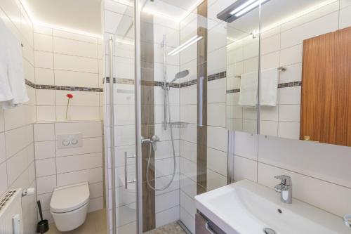 オーベルストドルフにあるKult Apartment - Gipfelkultのバスルーム(シャワー、トイレ、シンク付)