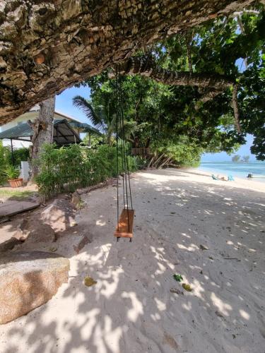 a swing on a beach with the ocean in the background at La Digue Luxury Beach Bungalow Spa & Gym in La Digue