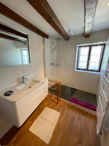 La salle de bains est pourvue d'un lavabo et d'un miroir. dans l'établissement Gîte Le Hissala, à Eguisheim