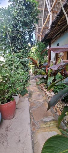 a garden with plants and a stone walk way at Salama & Mbuyuni Bungalows in Matemwe