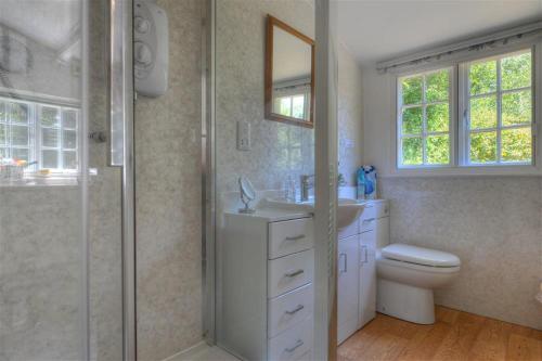 een badkamer met een douche, een toilet en een wastafel bij St Gabriels Cottage in Charmouth