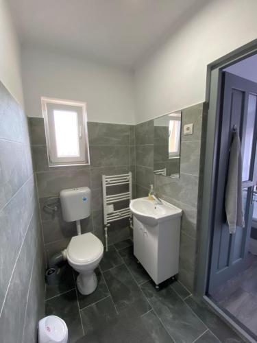 a bathroom with a toilet and a sink at Casa Alberto in Sovata