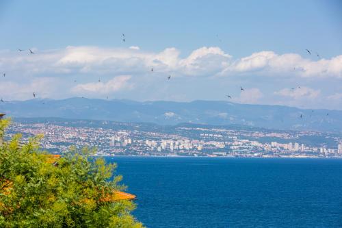 a view of a city and the ocean with birds at Apartment Vita in Lovran