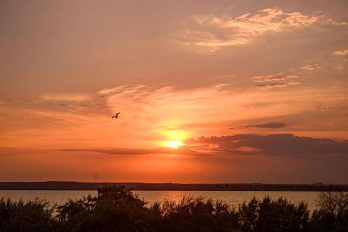 Tim Apartments Mamaia