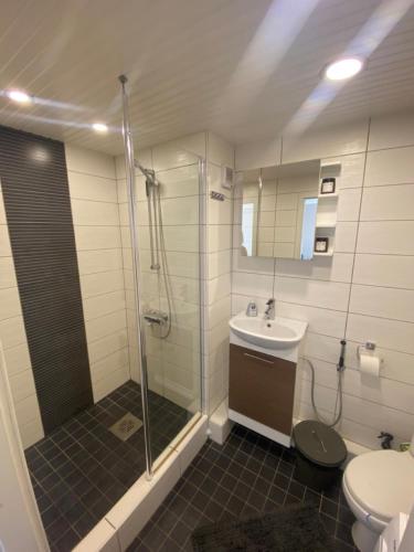 ein Bad mit einer Dusche, einem Waschbecken und einem WC in der Unterkunft Cosy Studio in Haapsalu in Haapsalu
