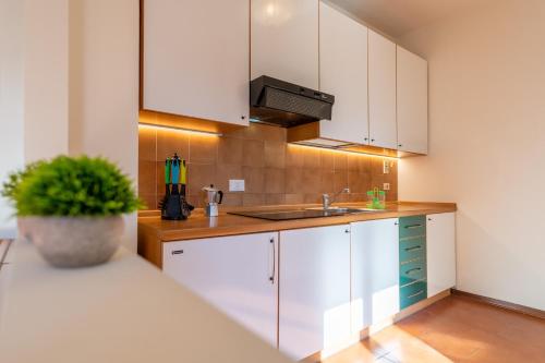 a kitchen with white cabinets and a plant in a vase at Hotel Diffuso Locanda Elisa in Dimaro