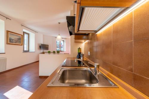 a kitchen with a stainless steel sink in a room at Hotel Diffuso Locanda Elisa in Dimaro