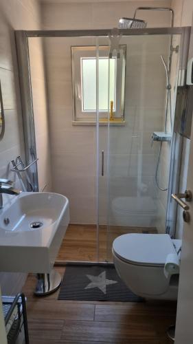 e bagno con doccia, servizi igienici e lavandino. di Apartman Z12 a Kornić