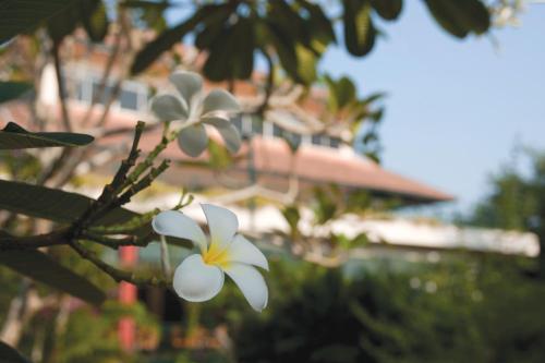 Zahrada ubytování The Qamar Paka, Terengganu