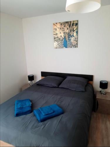 - une chambre avec un lit doté de deux sacs bleus dans l'établissement Charmant logis en duplex, à Gérardmer