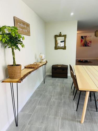 une salle à manger avec une table et une plante en pot dans l'établissement appartement saint juery, à Arthès