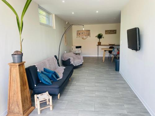 un salon avec un canapé et une télévision dans l'établissement appartement saint juery, à Arthès
