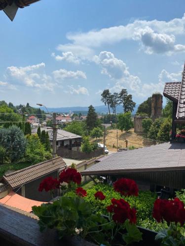 uma vista do telhado de um edifício com flores em Vila San Nicoara em Curtea de Argeş